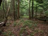 0 Marshall Phillips Road - Photo 16
