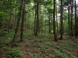 0 Marshall Phillips Road - Photo 21