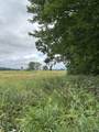 800 Jersey Street - Photo 13