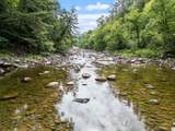 398 Wild Ammonoosuc Road - Photo 6