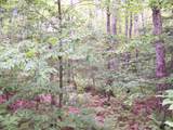  Ledge Hill Road - Photo 5