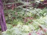  Ledge Hill Road - Photo 7