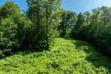 00 Turtle Hill Road - Photo 11
