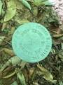 00 Albin Hill - Photo 11