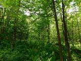 0 Amidon Road - Photo 18