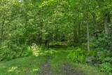 358 Roller Coaster Road - Photo 5