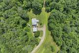 358 Roller Coaster Road - Photo 8