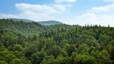 2448 Lost Nation Road - Photo 19