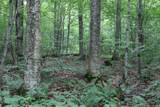 2448 Lost Nation Road - Photo 21