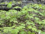 2448 Lost Nation Road - Photo 22