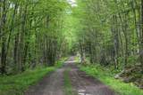 2448 Lost Nation Road - Photo 23
