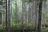 2448 Lost Nation Road - Photo 24