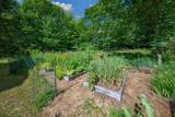 146 Cold Brook Road - Photo 52