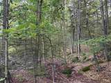 Lot R11-11-1 Forest Road - Photo 6
