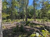 0 Old Hinsdale Road - Photo 11