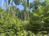  Upper Plains Road - Photo 8