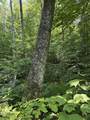  Upper Plains Road - Photo 4