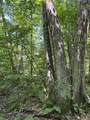  Upper Plains Road - Photo 5