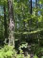  Upper Plains Road - Photo 6