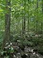  Upper Plains Road - Photo 7