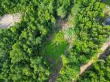 F4 Cave Mountain Drive - Photo 10