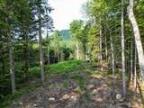 F4 Cave Mountain Drive - Photo 7