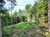 F4 Cave Mountain Drive - Photo 8