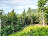 F4 Cave Mountain Drive - Photo 9