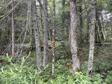 00 Ledge Hill Road - Photo 13