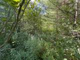 00 Scotch Hollow Road - Photo 19