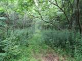 Lot 2 Champlain Commons - Photo 14
