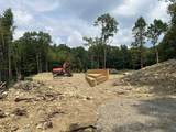 0 Lake Dunmore Road - Photo 5