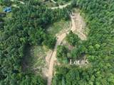 Lots 4-9 Fern Lake Road - Photo 17