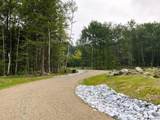 Lots 4-9 Fern Lake Road - Photo 2