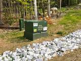 Lots 4-9 Fern Lake Road - Photo 6