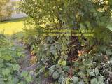 25 Sweat Street - Photo 11