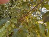 25 Sweat Street - Photo 13