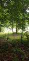 420 Burgess Road - Photo 7