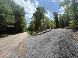 Lot A1 Tunnel Stream Road - Photo 2