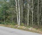 119-7 Map 119 Lot 7 Timber Swamp Road - Photo 2
