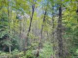 1352 Mud Hollow Road - Photo 10