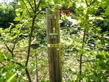 918 Lovers Lane Road - Photo 13