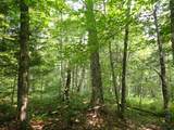 0 Bog Road - Photo 17