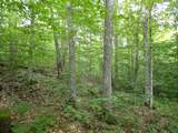 0 Bog Road - Photo 18