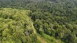 0 Bog Road - Photo 4