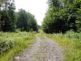 0 Bog Road - Photo 5