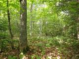 0 Bog Road - Photo 6