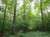 0 Bog Road - Photo 7
