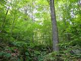 0 Bog Road - Photo 8