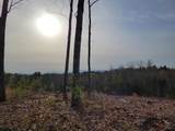 238-1-1 Maple Grove Road - Photo 2